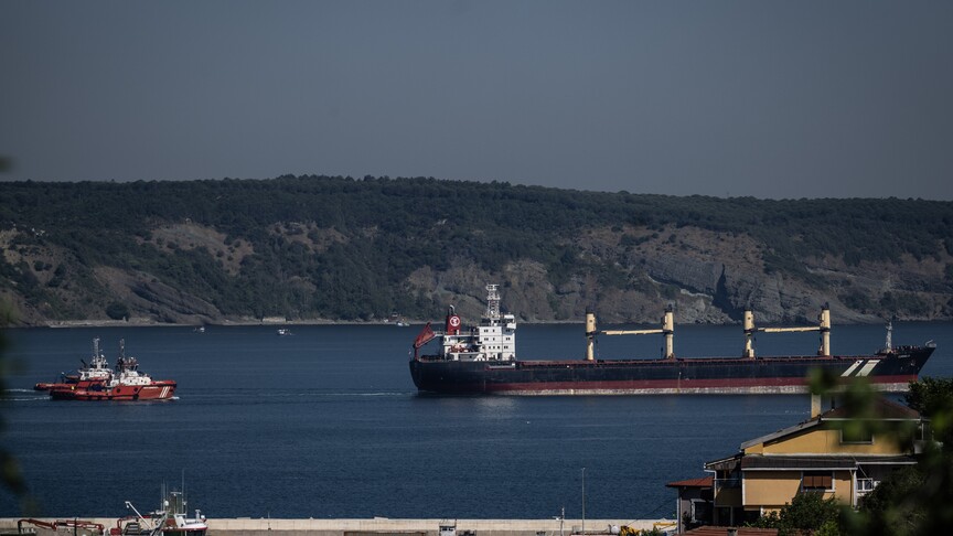 İstanbul ve Çanakkale boğazlarından geçen gemilere 4 ayda 15 bin 639 kılavuzluk hizmeti verildi