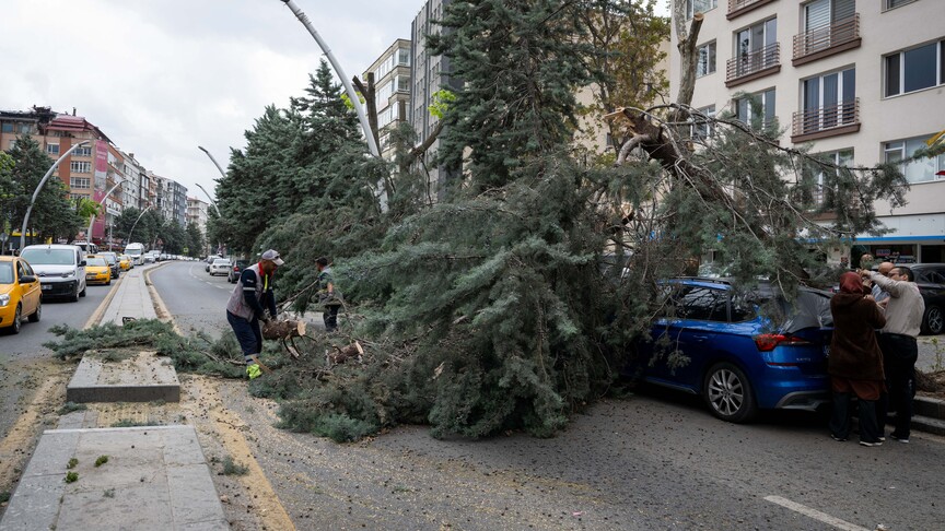 Ankara'da şiddetli rüzgarda devrilen ağaçlar nedeniyle 2 araç hasar gördü