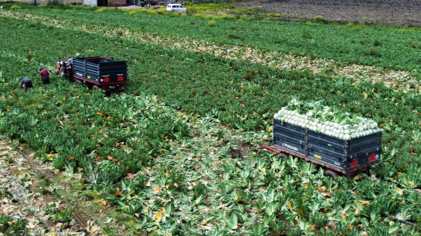 Bakan Yumaklı, yaklaşık 3,75 milyar lira tarımsal destekleme ödemesinin bugün yapılacağını bildirdi