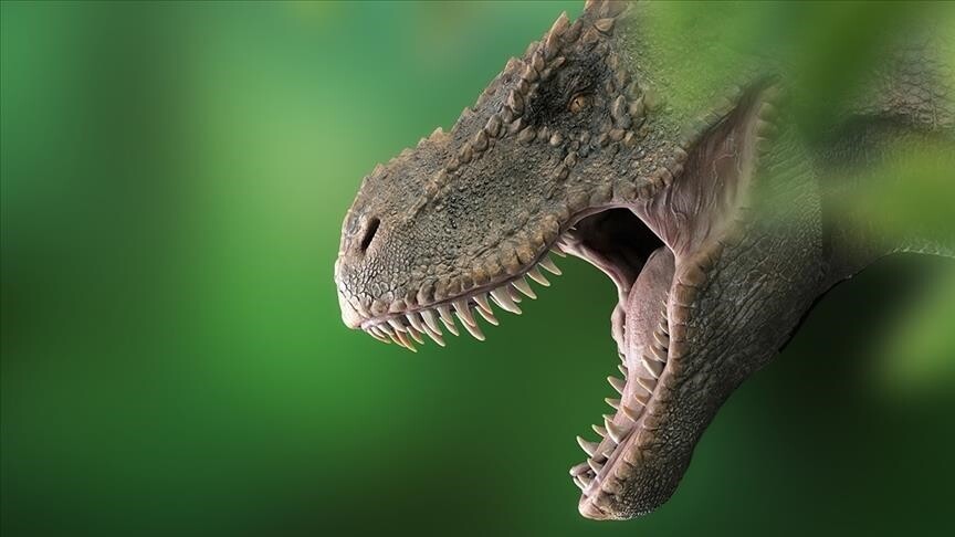 Studimi i ri zbulon dinozaurin më të madh të gjetur në Azinë Juglindore