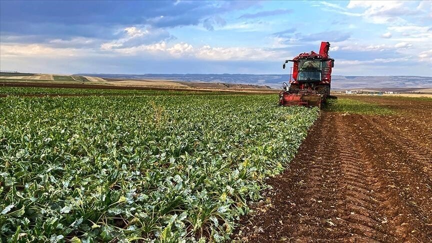 Çiftçilere yılın ilk çeyreğinde 35,6 milyar liralık tarımsal destek ödemesi yapıldı