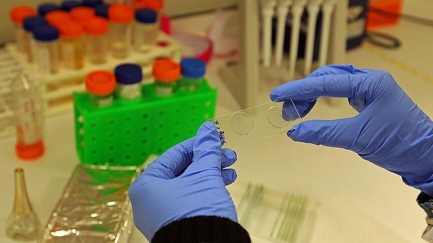 Studiuesit zviceranë zhvillojnë xhel për trajtimin e diabetit pa injeksione insuline