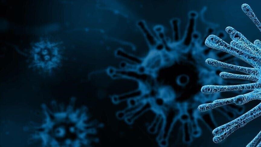 Dy të vdekur nga një virus i rrallë i transmetuar nga mushkonjat në Territorin Verior të Australisë