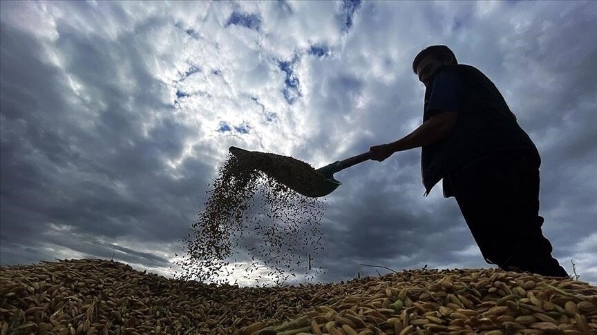 Bakan Yumaklı, yaklaşık 6,5 milyar lira tarımsal destekleme ödemesinin bugün yapılacağını bildirdi