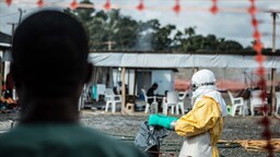 Kongo Demokratik Cumhuriyeti’ndeki Ebola salgınında ölü sayısı 160’a yükseldi