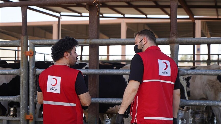 Türk Kızılayın kurban bağışı kampanyası tatil günlerinde de sürüyor