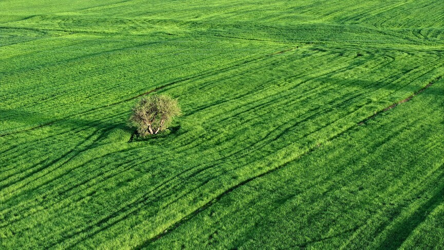 FAO Reveals Alarming Trend: Just 4% of Climate Finance Supports Agricultural Resilience Amid Rising Heat Risks FAO Reveals Alarming Trend: Just 4% of Climate Finance Supports Agricultural Resilience Amid Rising Heat Risks