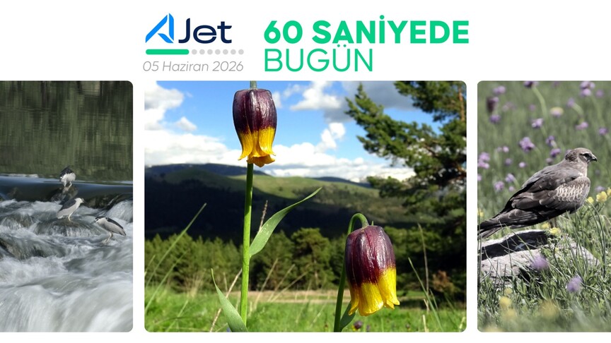 Gazete manşetlerini gösteren bir görsel.