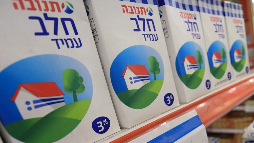 Raporti  Holanda  porta kryesore e BE së për produktet nga vendbanimet e paligjshme izraelite