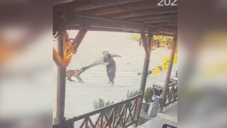 Afyonkarahisar'da sahipli köpeğin saldırısında yaralanan kadın taburcu edildi