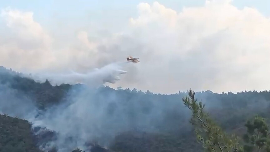 Muğla'da orman yangınına müdahale eden hava aracı