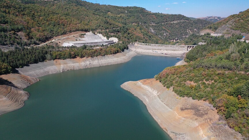 Content media