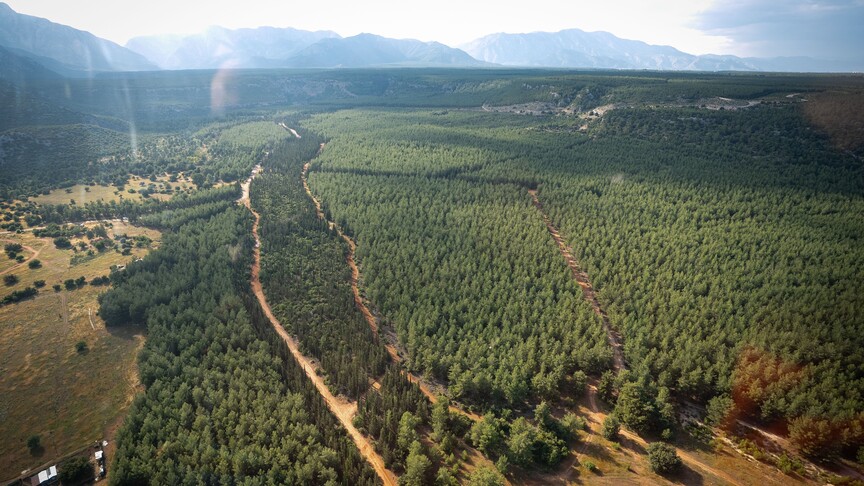 Ormanlık alanlarda yangın riski uyarısı