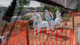 Kongo Demokratik Cumhuriyeti’nde Ebola salgınında vaka sayısı 1094’e yükseldi