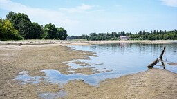 İtalya'da aşırı sıcaklıklar, Po Nehri'nde kuraklığa ve tarımsal üretimde olumsuzluklara yol açıyor
