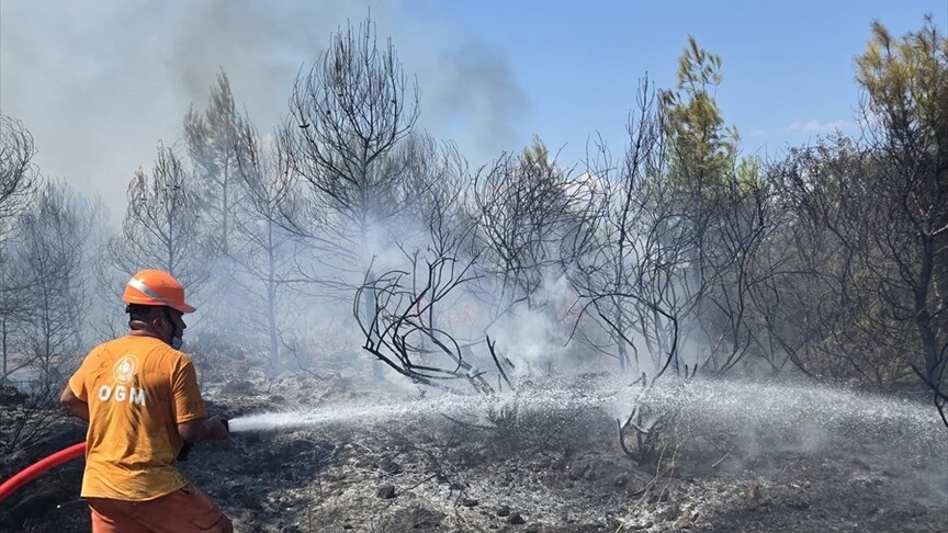 Antalya ve Balıkesir'de orman yangını