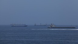 IMO: Körfez'deki tahliye durdurulmadan önce 115 gemiyle yaklaşık 2 bin 500 denizci tahliye edildi