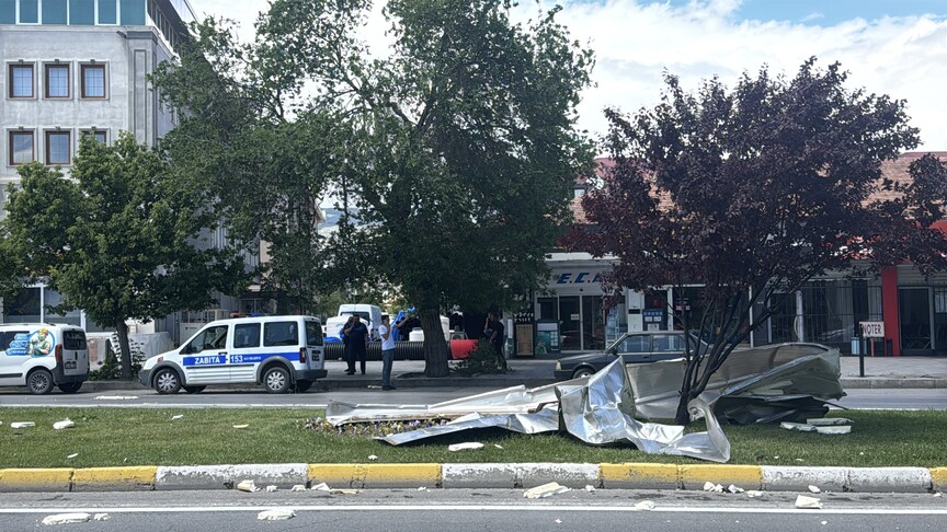 Erzincan'da rüzgar nedeniyle devrilen ağaçlar ve hasar gören çatılar