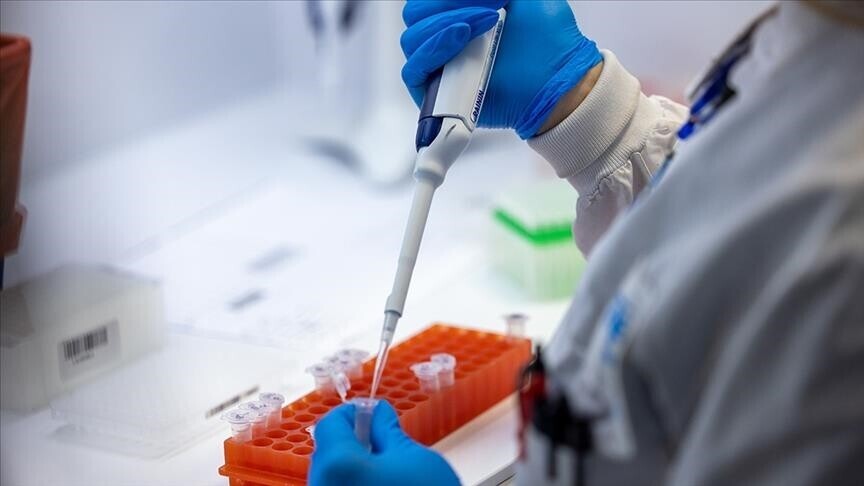 Photo: aa.com.tr Sri Lanka’s dengue outbreak reaches epidemic level as cases top 50,000: Health officials