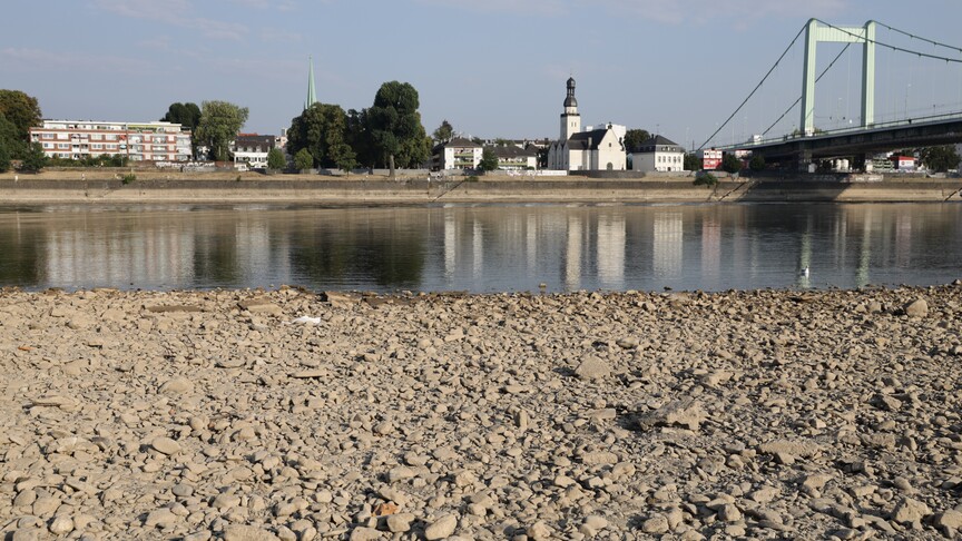 Almanya'da Ren Nehri'nde su seviyesinin düşmesi sonucu karaya oturmuş bir yolcu gemisi.