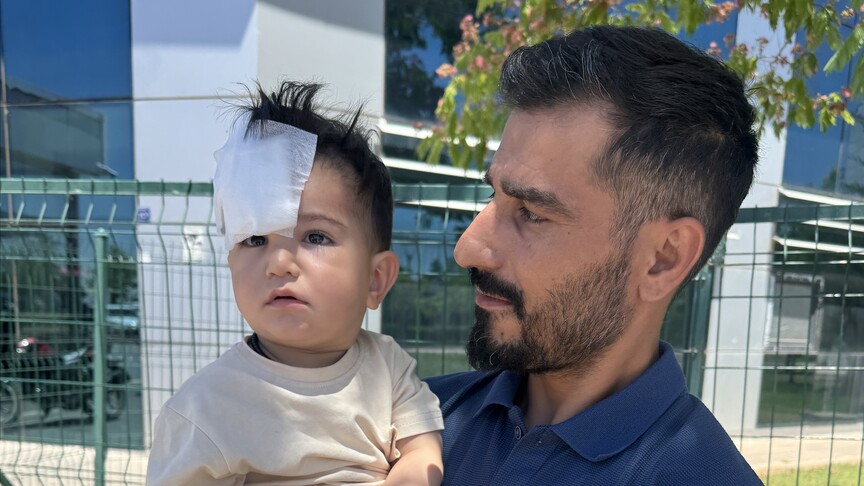 Şanlıurfa'da sahipsiz köpeğin saldırısına uğrayan çocuk yaralandı