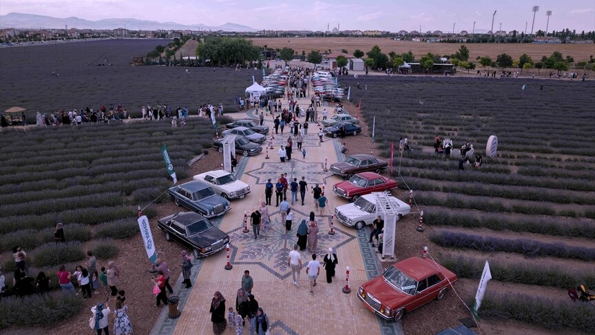 Türkiye'nin en büyük lavanta bahçesinde festival heyecanı başladı