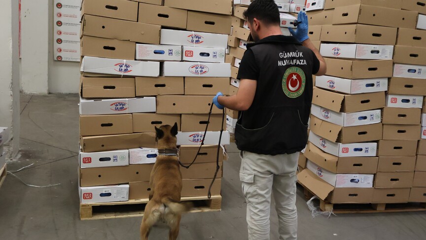 Kapıkule Gümrük Kapısı'nda 1,2 ton uyuşturucu ele geçirildi haber görseli