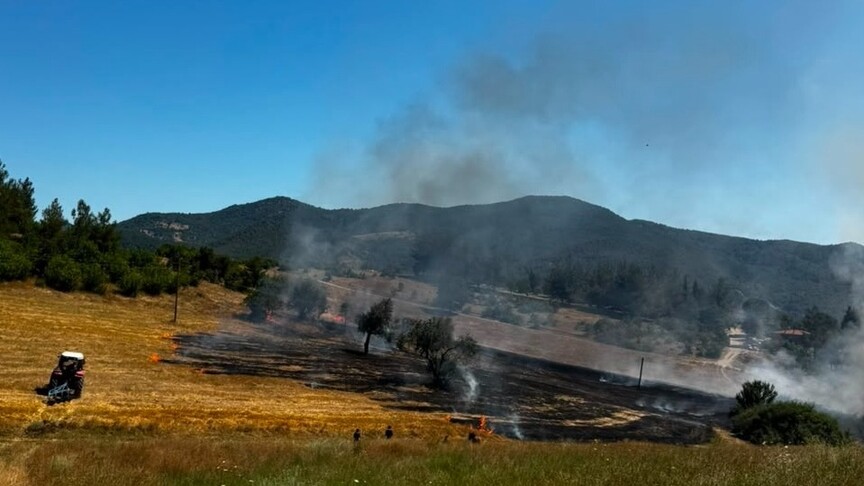 Balıkesir'in 3 ilçesinde çıkan arazi yangınlarına müdahale ediliyor