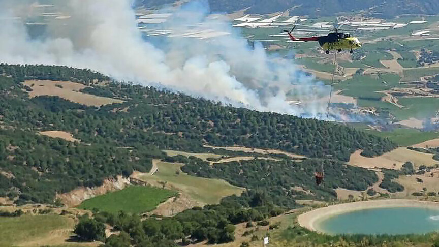 Manisa'da çıkan orman yangını kontrol altına alındı haber görseli