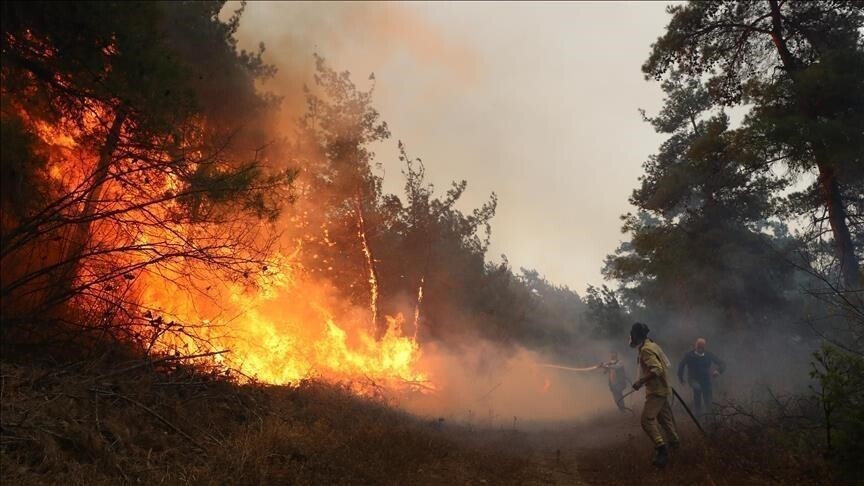 المغرب يواصل إخماد حريق في واحات جنوب شرقي البلاد