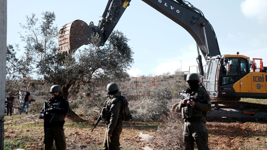 Gazze'deki Tarım Bakanlığı, İsrail saldırılarında tarım ve hayvancılık sektöründeki yıkımın boyutunu açıkladı haber görseli