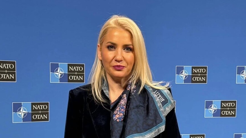 Ekspertja Gjoni  Samiti i NATO s në Tiranë do shënonte momentin më kritik për gjeopolitikën shqiptare