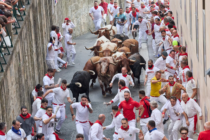 İspanya'da San Fermin'deki ünlü boğa koşularının 8 günlük bilançosu: 70'ten fazla yaralı haber görseli