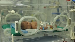 İsrail'in Gazze'de gerçekleştirdiği soykırım bebek ölümleri ve düşük oranlarında görülmemiş artışa sebep oldu