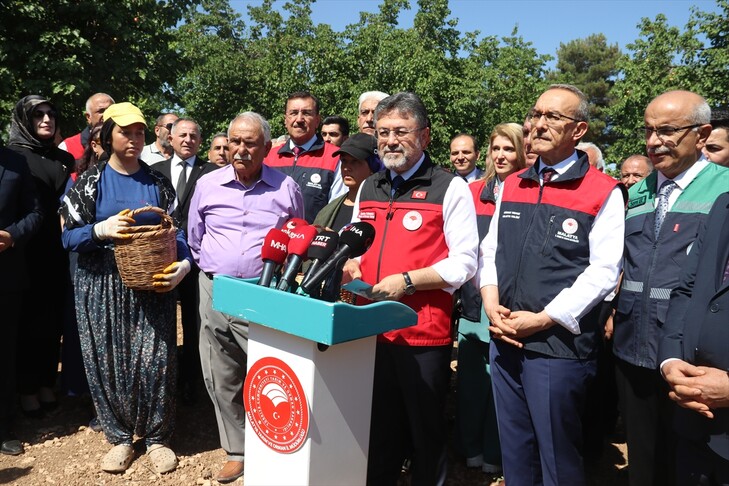 Tarım ve Orman Bakanı İbrahim Yumaklı kayısı hasadına katılıyor.