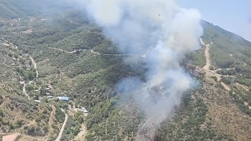 İzmir ve Kütahya'da ormanlık alanda çıkan yangına müdahale ediliyor haber görseli