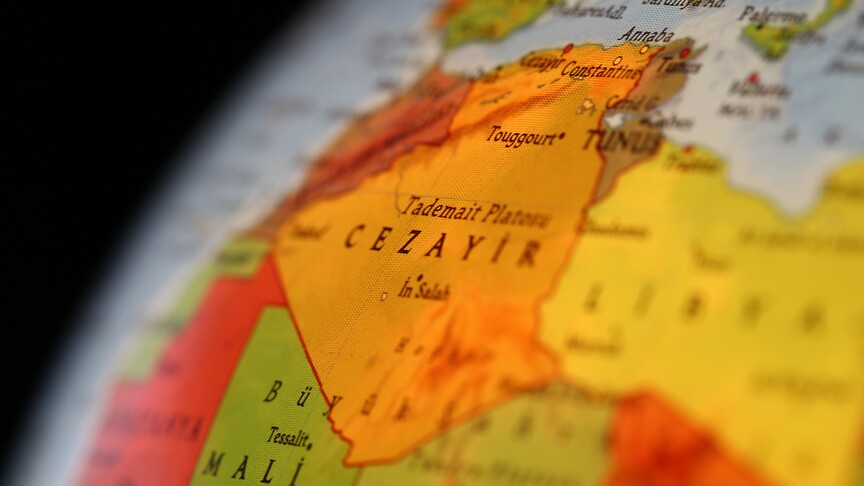 Cezayir'de seçim sonrası gözler yeni hükümetin nasıl şekilleneceğine çevrildi