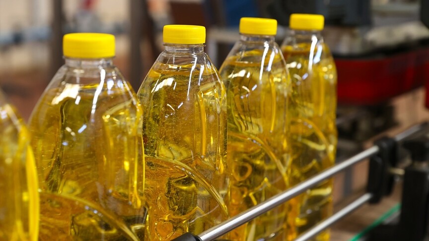 Türkiye'nin ayçiçeği yağı ihracatı yılın ilk yarısında yüzde 20,1 arttı