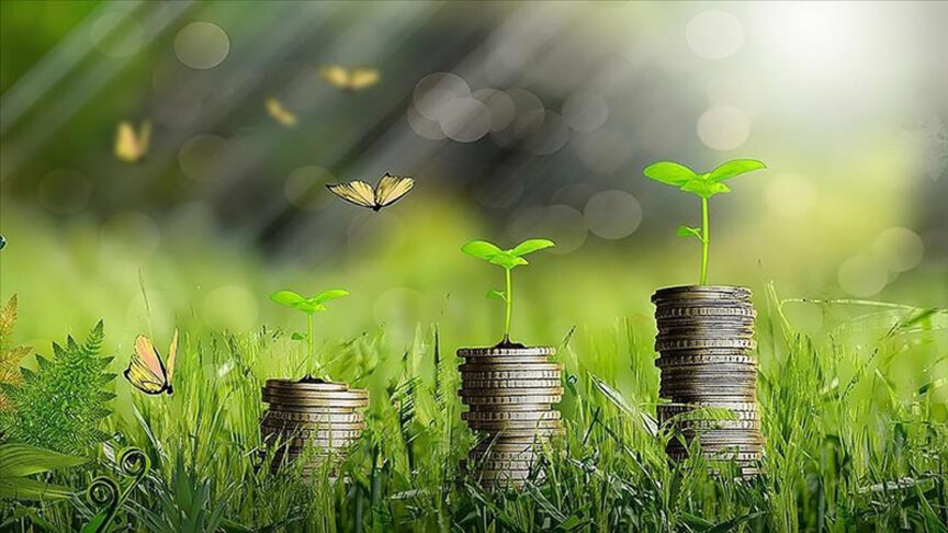 DOSYA: Yeşil Kapitalizm haber görseli