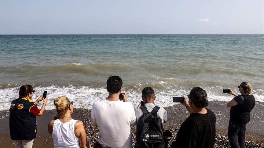 Mersin'de uydu takip cihazı takılan 2 yeşil deniz kaplumbağası denizle buluşturuldu