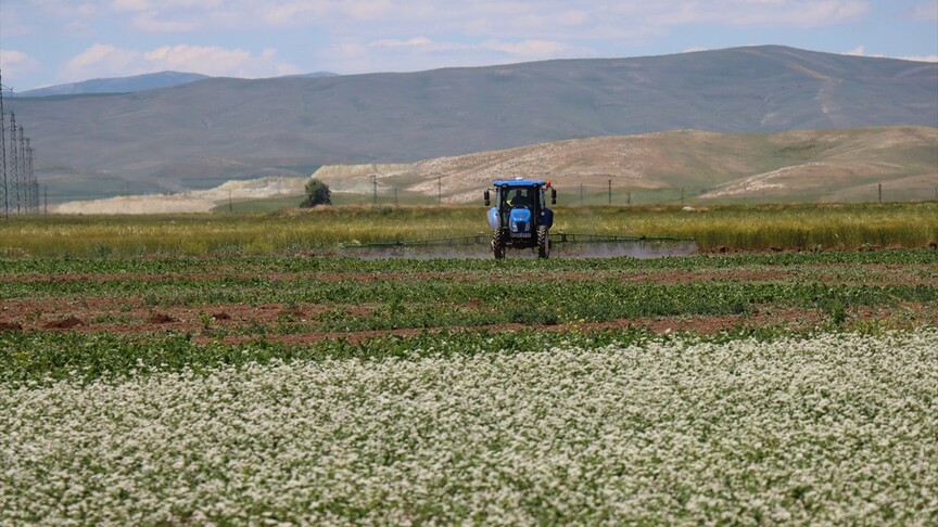 Erzincan'da alternatif ürünlerle tarımsal üretim çeşitleniyor haber görseli