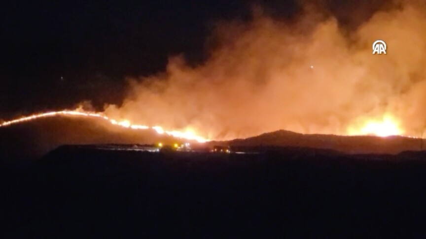 Adıyaman'da otluk alanda çıkıp ormana sıçrayan yangını söndürme çalışmaları devam ediyor haber görseli