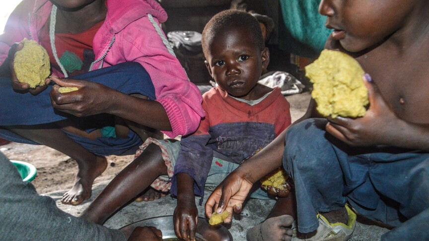 WFP: Kongo Demokratik Cumhuriyeti'ndeki Ebola salgını gıda krizini derinleştiriyor haber görseli