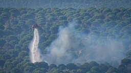 Antalya, İzmir ve Muğla'daki yangınlar kontrol altına alındı, Aydın ve Balıkesir'de müdahale sürüyor