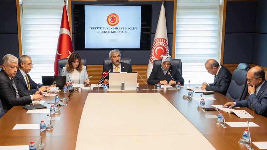 Meclise "İstanbul kışlık, Ankara yazlık başkent olsun" başvurusu haber görseli