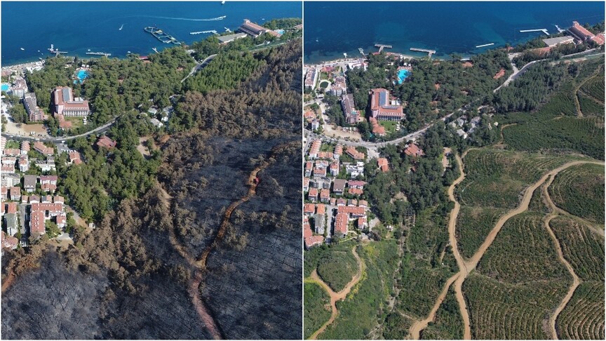 Muğla'da 2021'in küllerinden doğan ormanlar yeşil örtüsüne kavuştu haber görseli