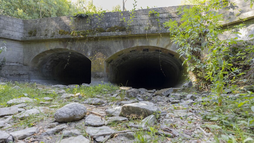 İngiltere ve Galler kayıtlardaki en kurak temmuz ayını yaşadı