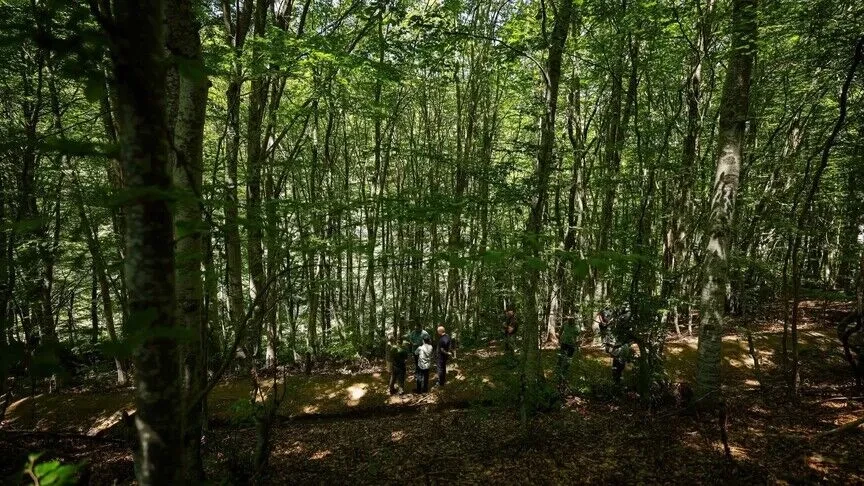 Të paktën katër trupa gjenden në varrezën masive në Jabukë