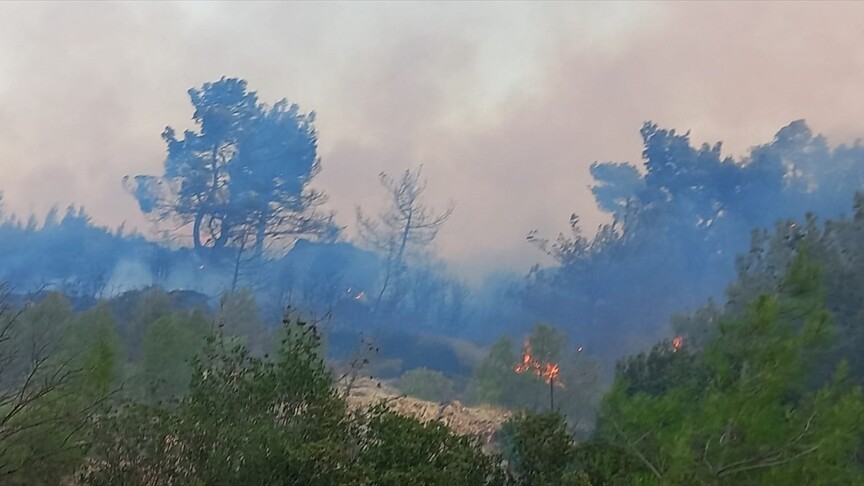 Çanakkale'nin Ezine ilçesinde ormanlık alanda çıkan yangına müdahale ediliyor haber görseli