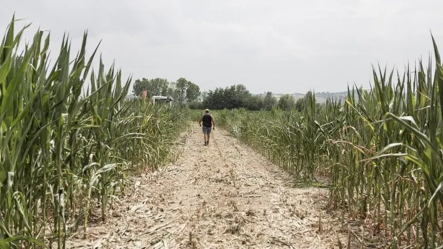 Agjencia e OKB së  El Nino mund të shtyjë 49 milionë njerëz të tjerë në uri akute deri në fund të vitit 2027